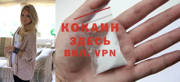 крисы Дмитриев
