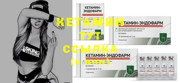 крисы Дмитриев
