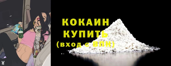крисы Дмитриев