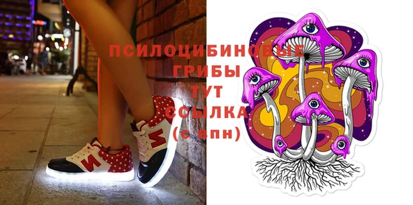 крисы Дмитриев
