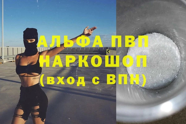 сатива Дмитровск