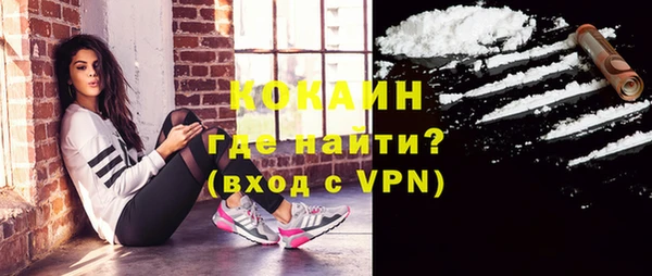 сатива Дмитровск