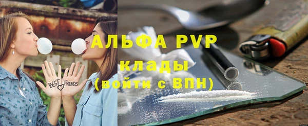 сатива Дмитровск